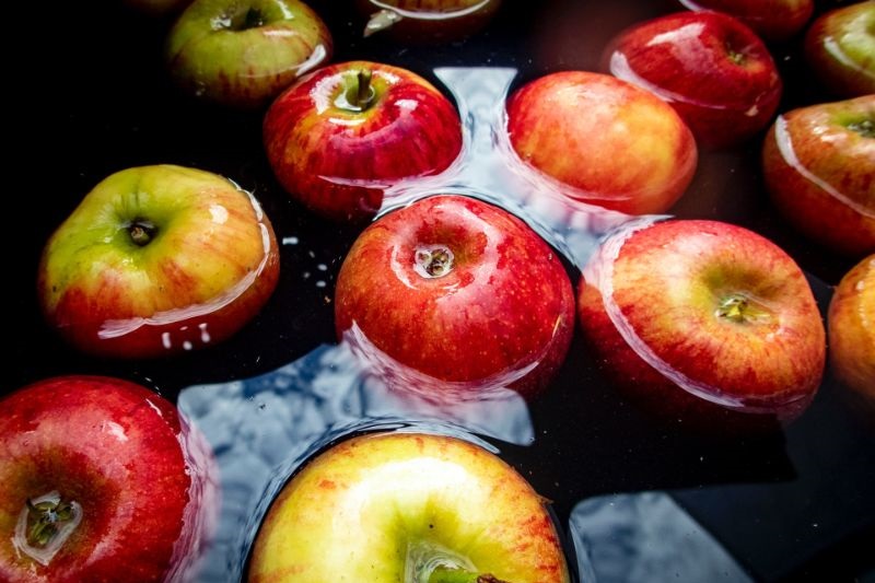 Äpfel-treiben-im-Wasser