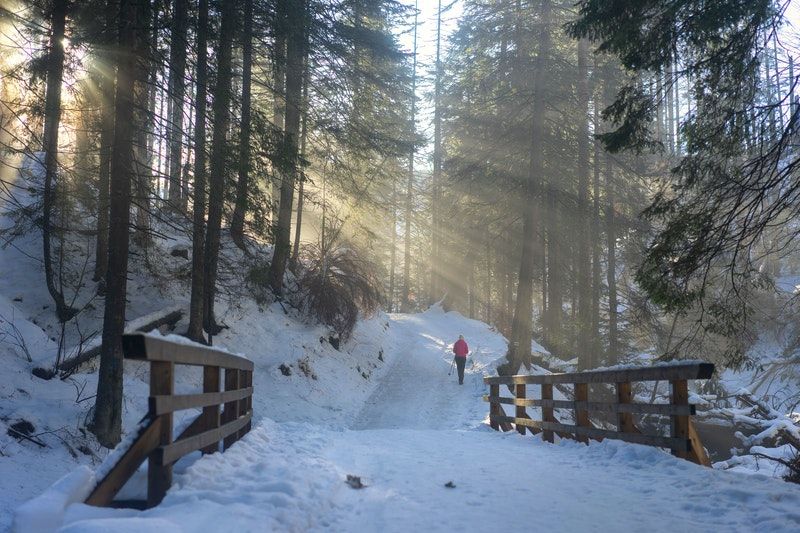 Brücke mit frischem Schnee bedeckt
