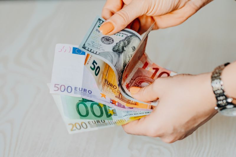 weibliche Hände, die Euro-Scheine halten