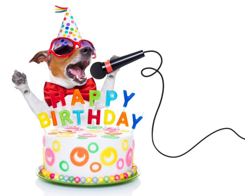 Jack-Russell-Hund-als-Überraschung-singend-Geburtstagslied-wie-Karaoke-mit-Mikrofon-hinter-lustigem-Kuchen-trägt-rote-Krawatte-und-Partyhut-isoliert-auf-weißem-Hintergrund
