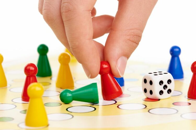 Mensch Ärgere Dich Nicht Spielregeln & Anleitungen Lebens Karneval