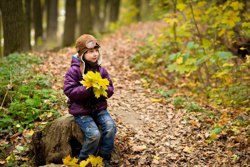Junge-der-gelbe-Herbstblatter-halt-und-im-Wald-sitzt