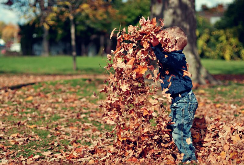 Kind-spielt-mit-Herbstblattern