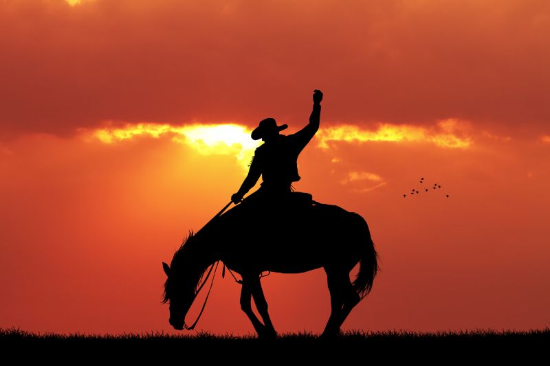 Rodeo-Cowboy-Silhouette-bei-Sonnenuntergang