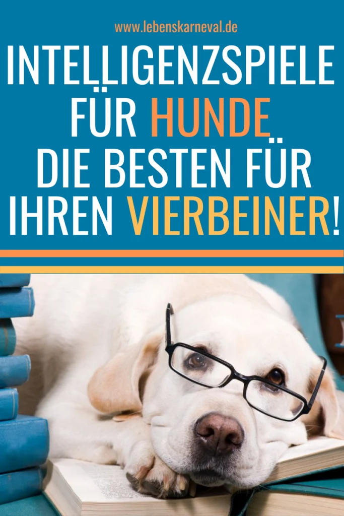Intelligenzspiele für Hunde-Die Besten Für Ihren Vierbeiner! - pin