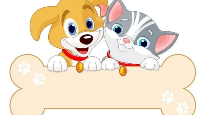 Bello, Bello Dein Knochen Ist Weg! Spielregeln