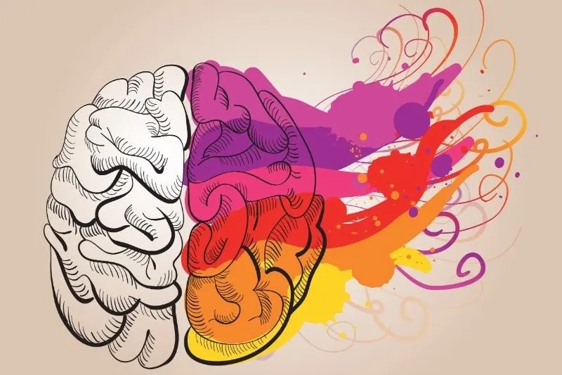 Konzept-Kreativitat-und-Gehirn