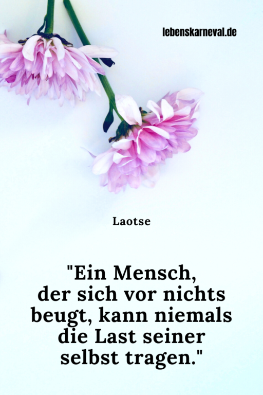 Weisheitssprüche Leben: 89 Tolle Sprüche Über Glück, Liebe Und Leben