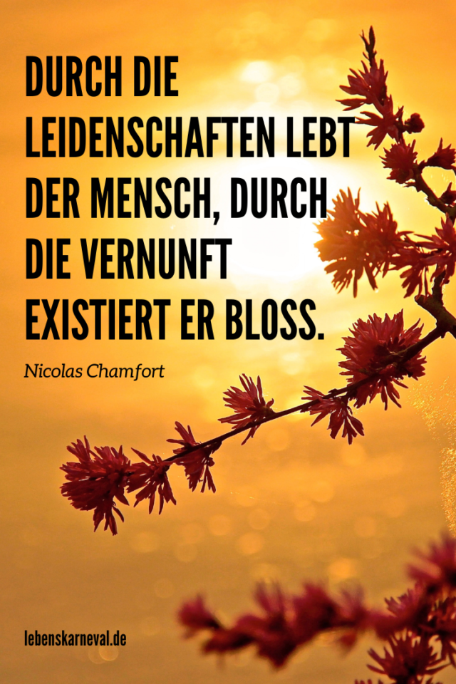 Weisheitssprüche Leben: 89 Tolle Sprüche Über Glück, Liebe Und Leben