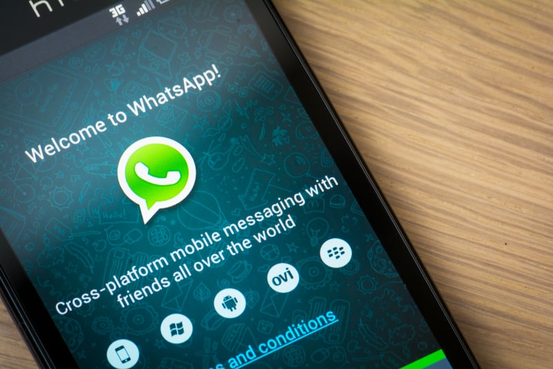 WhatsApp-auf-Android-Handy
