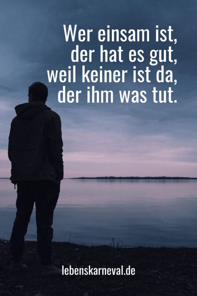 Allein Sein Sprüche Um Nicht Allein Zu Sein Lebens Karneval