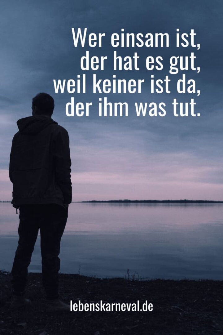 Allein Sein Sprüche Um Nicht Allein Zu Sein Lebens Karneval