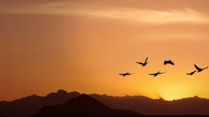 Abschiedssprüche Für Einen Leichteren Abschied