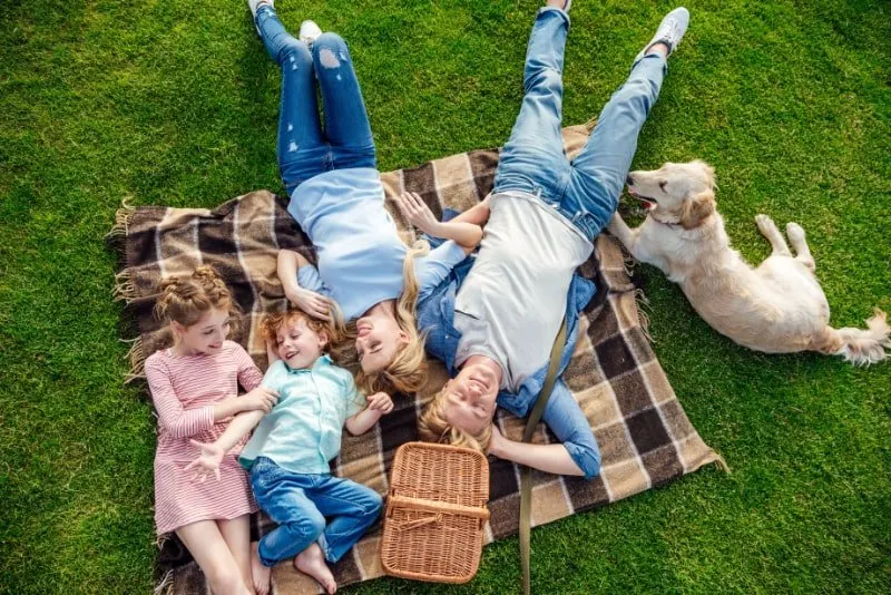 Familie mit Hund beim Picknick