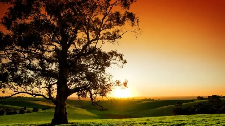 Die Schönsten Sonnenuntergang Sprüche, Gedichte Und Zitate