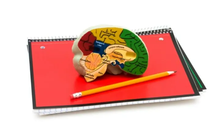 Mit Unseren Tipps Schreibt Man Eine Perfekte Hausarbeit!