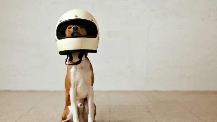 Zuverlässigkeit: Du Kannst Dich Auf Mich Verlassen!