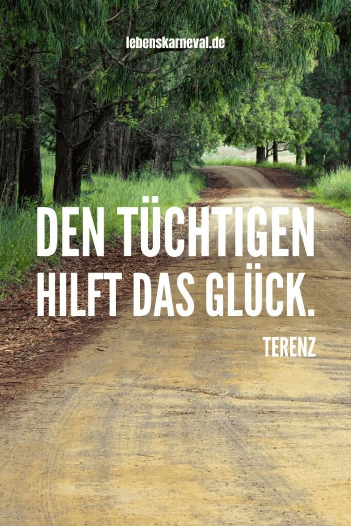 46 Den Tüchtigen hilft das Glück. – Terenz