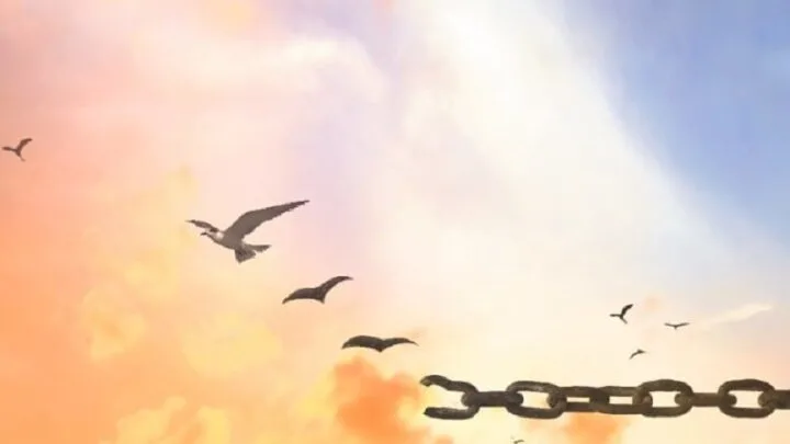 Verzeihen Tipps: Finden Sie Frieden Durch Vergebung!