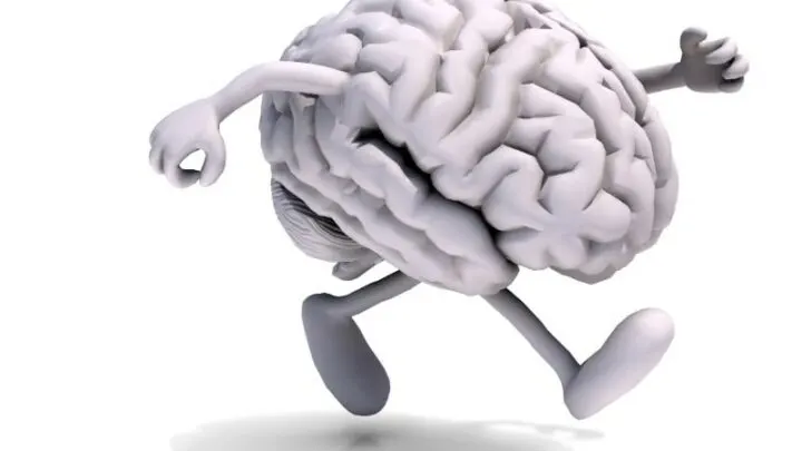 Gedächtnistraining Senioren: Übungen Die Den Kopf Fit Halten