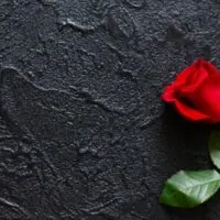 Rote Rose auf schwarzem Hintergrund, Stein. Eine Kondolenzkarte. Leerer Platz für Emotionen, Zitate oder Sprüche
