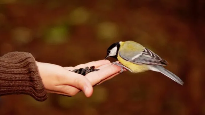 Vertrauen Sprüche: Alles Ist Vertrauenssache