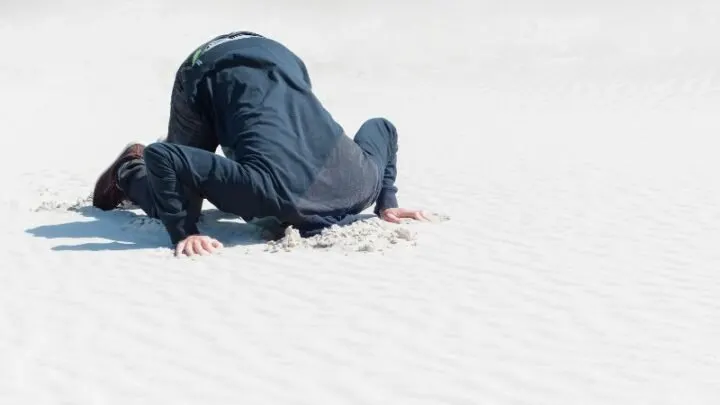 Kopf In Den Sand Stecken: Das Meint Man Mit Vogel-Strauß-Politik!