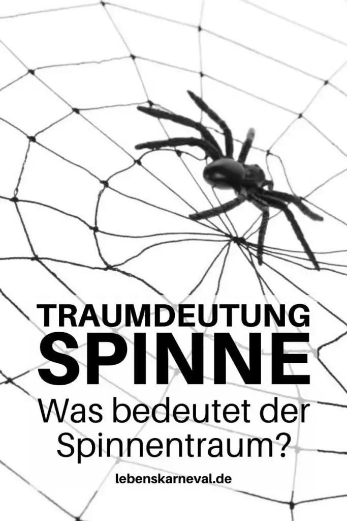 Traumdeutung Spinne Was Bedeutet Der Spinnentraum - pin