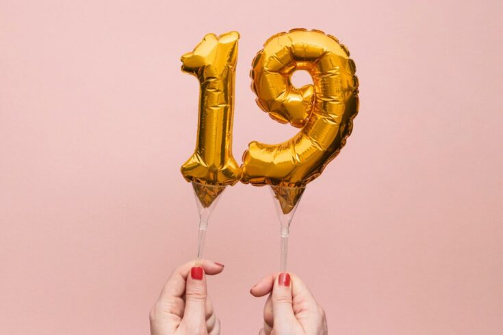 19. Geburtstag T-Shirt Lustig - Einhorn Design Für Mann & Frau