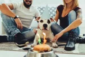Schone-Geburtstagsspruche-Hund_-Fur-Den-Treusten-Freund-Auf-Der-Welt