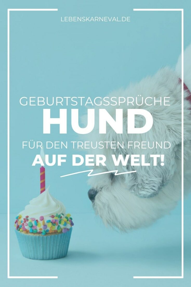 Schöne Geburtstagssprüche Hund Für Den Treusten Freund Auf Der Welt