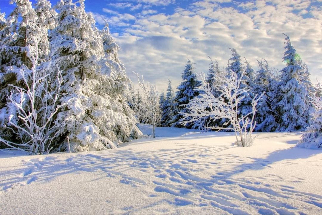 Wintersprüche Und Zitate Ideen Für Die Schönste Zeit Des Jahres!