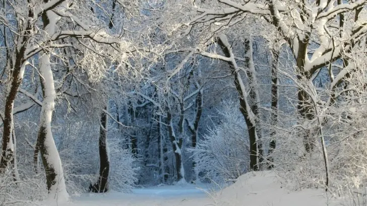 Wintersprüche Und Zitate: Ideen Für Die Schönste Zeit Des Jahres!