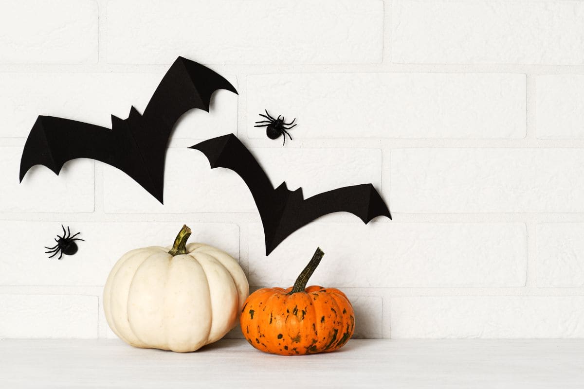Breeze Decor Halloween Hausflagge – 71,1 X 101,6 Cm, Doppelseitig, Wetterfest, Mit Hexe & Schwarzer Katze