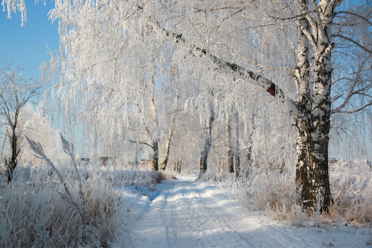 Wintersprüche Und Zitate Ideen Für Die Schönste Zeit Des Jahres