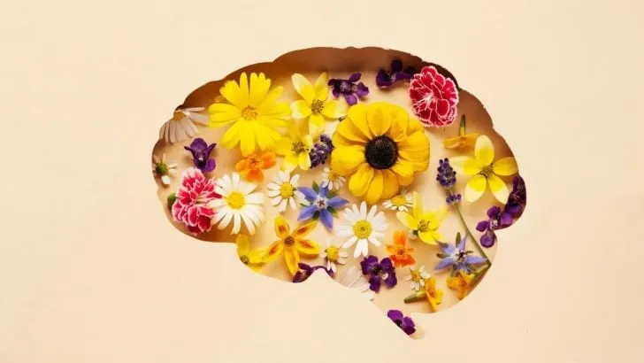 Liebe Worte An Einen Depressiven Menschen Die Mehr Hoffnung Schenken!