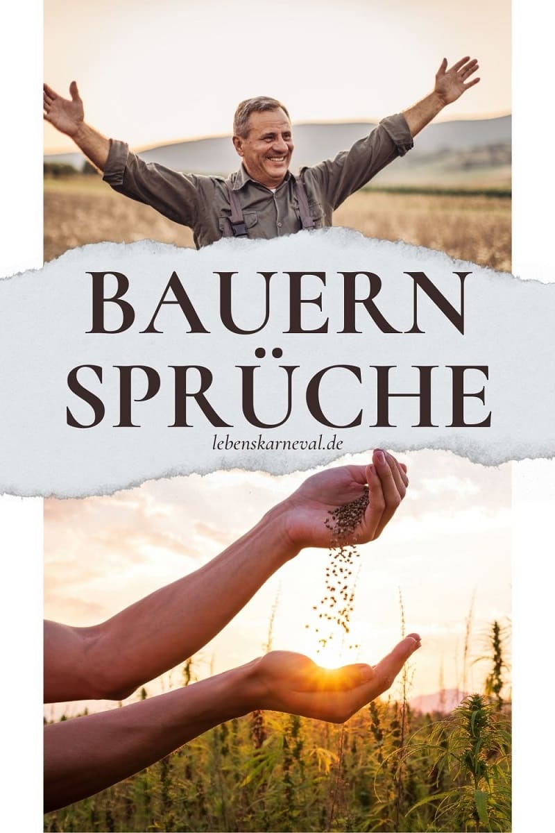 Die Besten Bauern Sprüche Und Zitate In Einer Großen Sammlung!