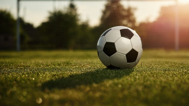 Fußball Fragen: Quiz Für Große Und Kleine Fußballfans!