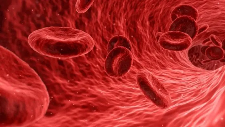 Traumdeutung Blut: Bedeutung Des Blutes Im Traum