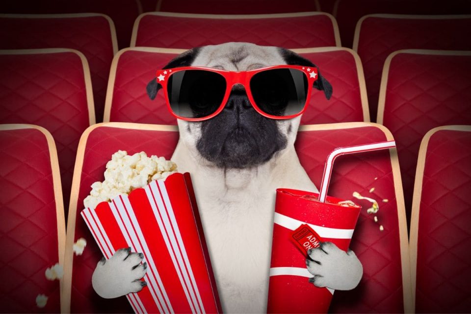 Film Quiz Fragen Und Antworten Für Die Wahren Filmkenner!