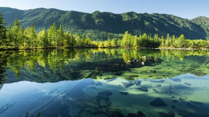 Mittwoch Sprüche Und Zitate: Inspiration & Motivation Für Die Mitte Der Woche