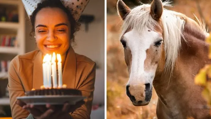 Geburtstagswünsche Pferd: Die schönsten Geburtstagsgedichte für Pferdefreunde