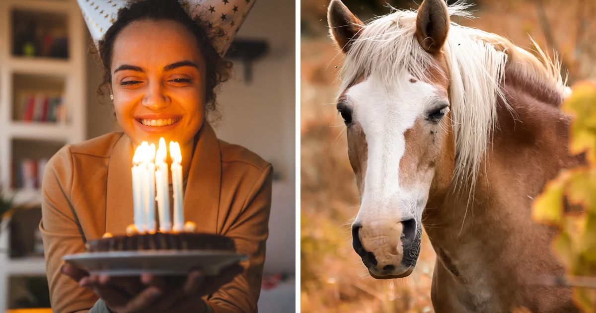 Geburtstagswünsche Pferd Die schönsten Geburtstagsgedichte für Pferdefreunde